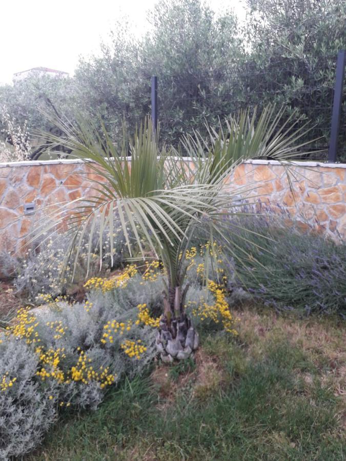 Palm Paradise Stobreč Eksteriør bilde