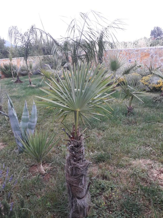 Palm Paradise Stobreč Eksteriør bilde